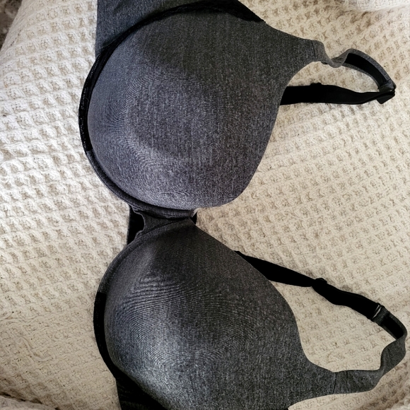 Penningtons Padded T-Shirt Bra with Lace details - Picture 1 of 11
